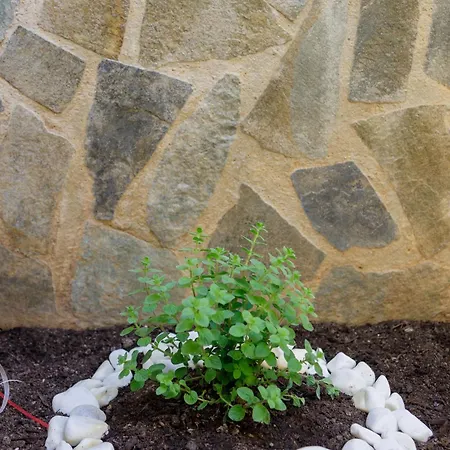 Apartment Santos Accommodotion *