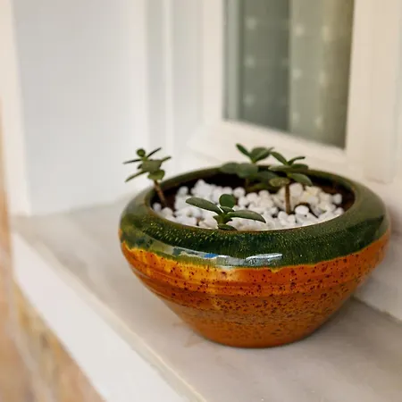 Santos Accommodotion شقة